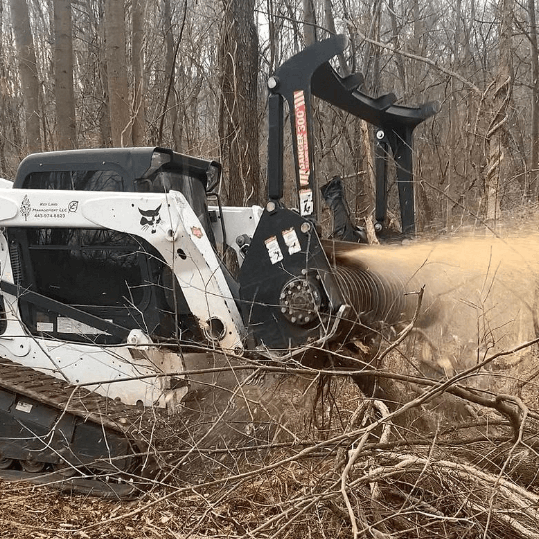 Keyland Management